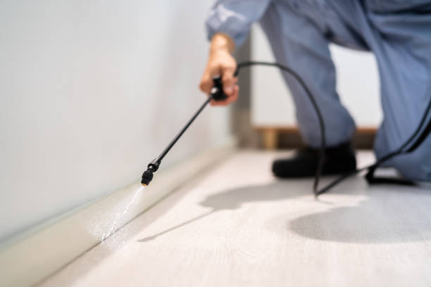 Licensed Pest Control service in Latimer County County, OK - Nex Pest Control