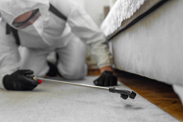 Professional Pest Control technician working in Latimer County County, OK